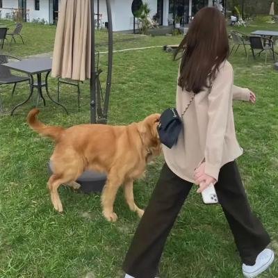 少年岳飞传奇