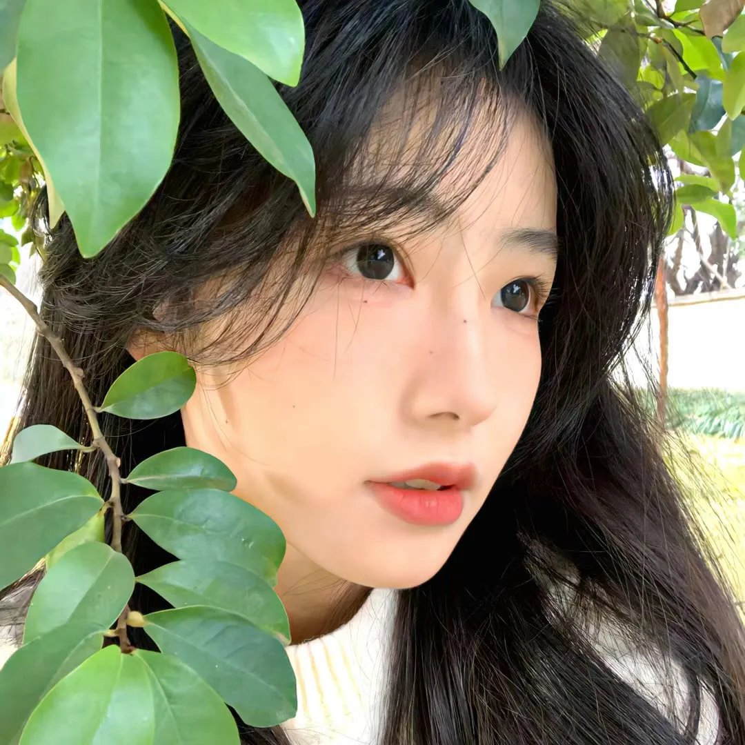 芭拉芭拉樱之花